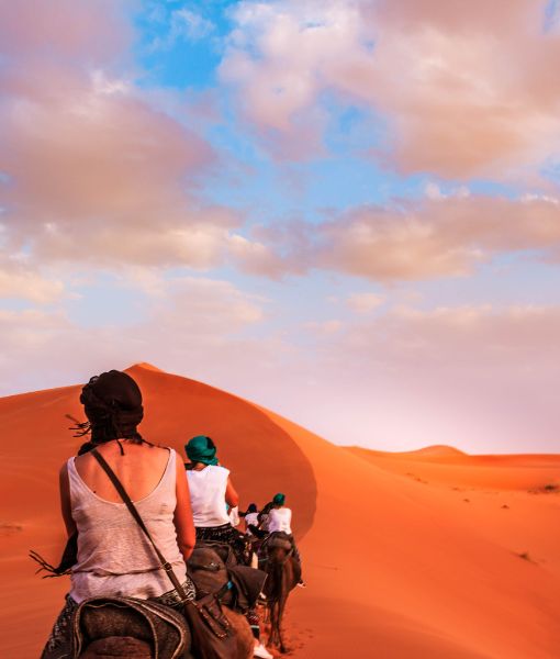 Sahara Adventure